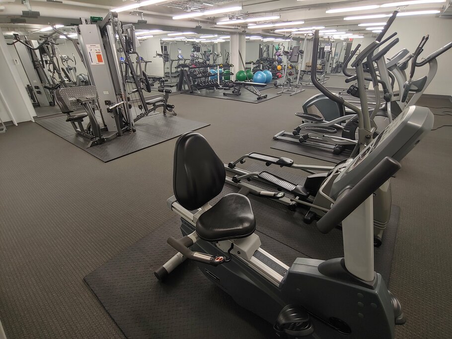 Gym Weights and Cardio Equipment